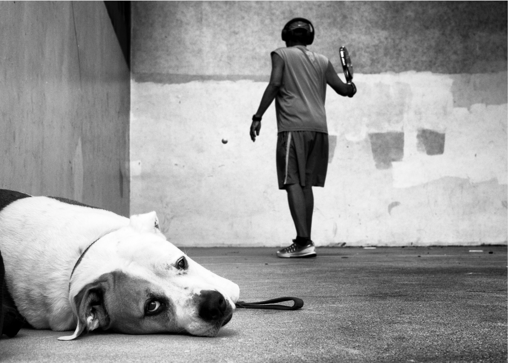 Exploring Dogtown: A photographic journey with Dotan Saguy in